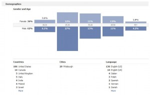facebook insights 300x190 Facebook Analytics and What They Mean To Your Page