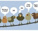 social-media2