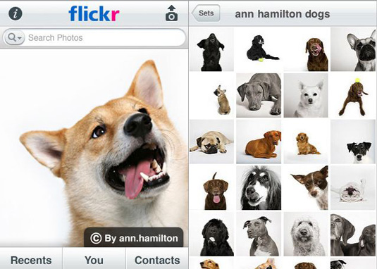 FlickrAppDogsx5351 OUTRAGE AGAIN as Instagram Sells Your Photos! #Quitinstagram 