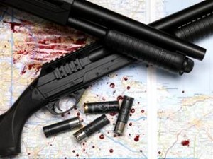 268798977DD7D562C2815C99A081 h231 w308 m5 czfNOTcJk 300x225 gun privacy