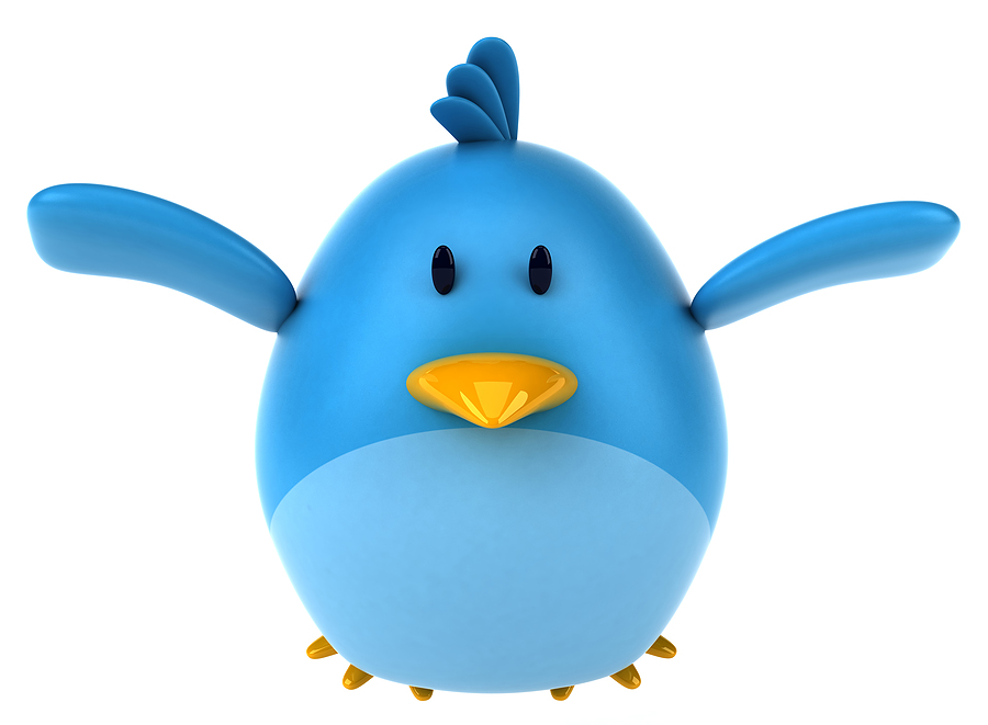 The Ultimate Guide to Twitter Marketing The Ultimate Bird Watchers Guide To Twitter Marketing