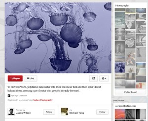 Pinterest's new look