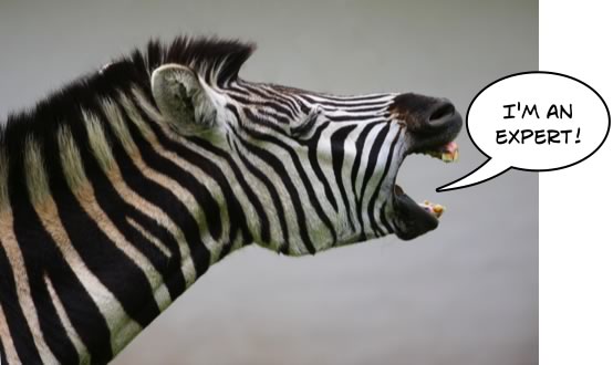 zebra social media expert 8 Ways To Spot a Social Media Poser Who Isn’t an Expert!